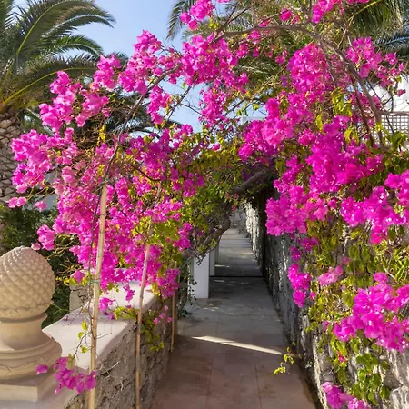 Dorion 4* Ornos (Mykonos)