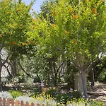 호텔 도리온 4*