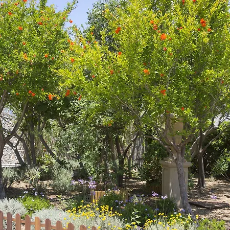 酒店 多里昂酒店 4*