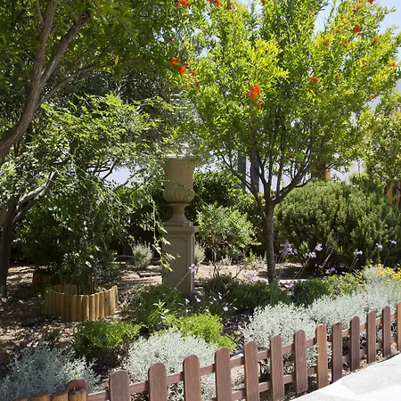 Ξενοδοχείο Dorion Ορνός