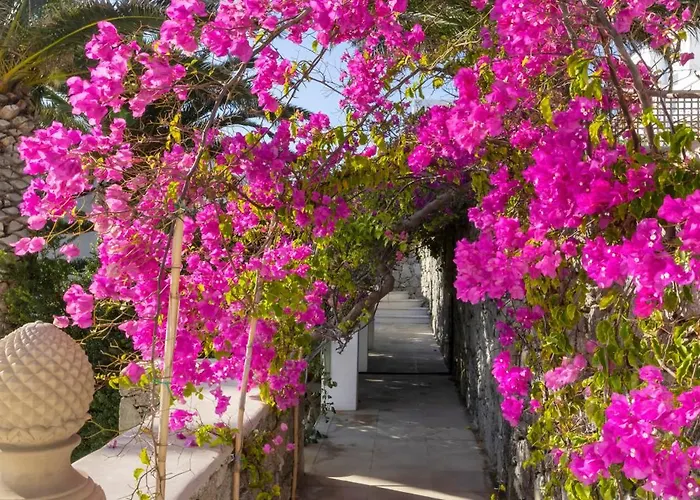 Dorion 4* Орнос